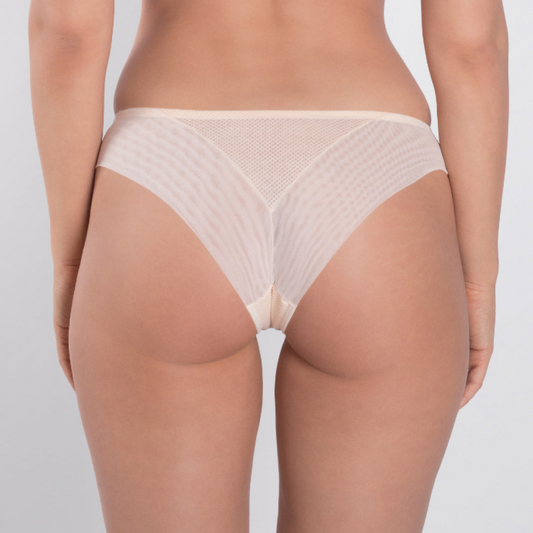 Sheer Mesh Tulle Embroidered Tanga Panty Valeria Biscuit