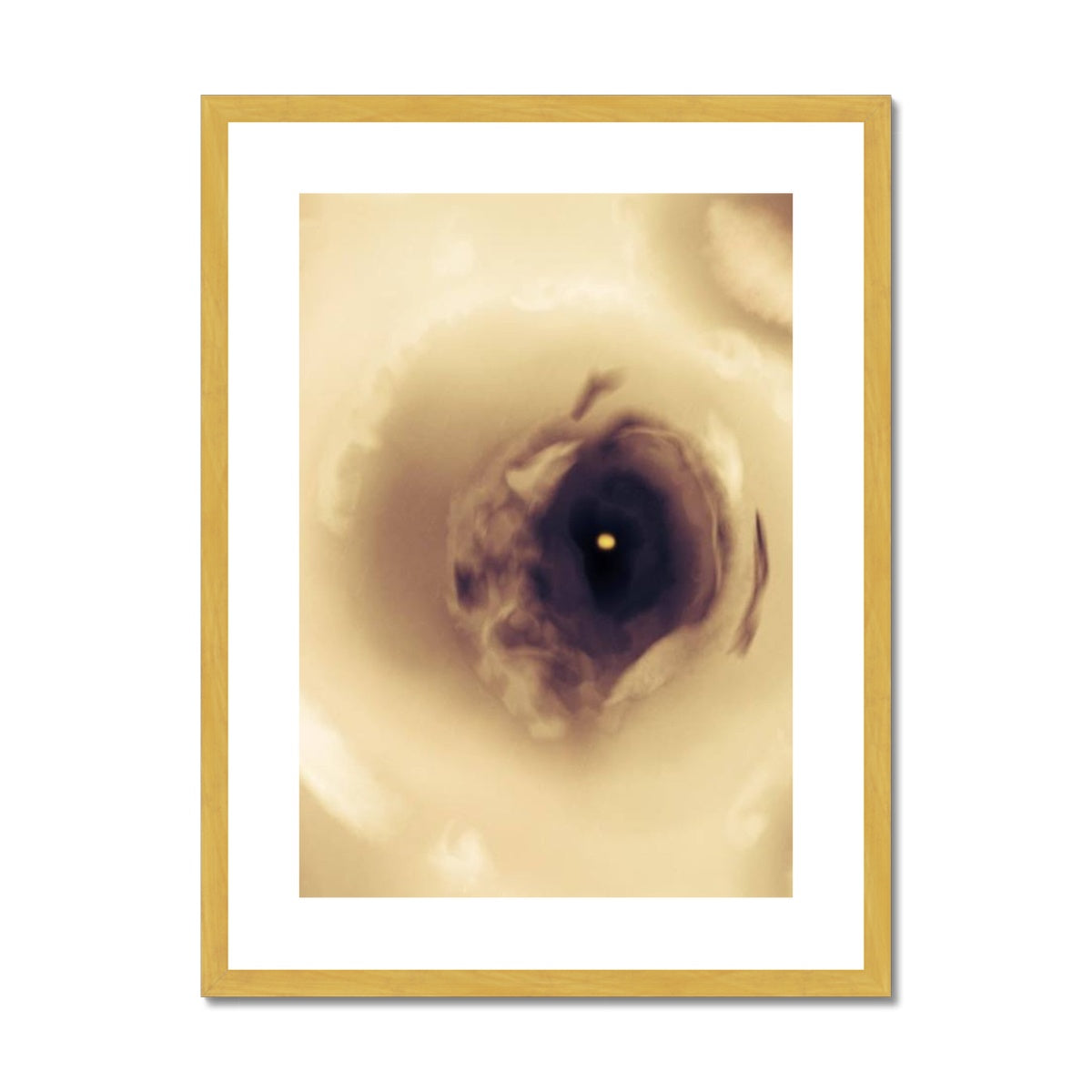 Eye Antique Framed & Mounted Print