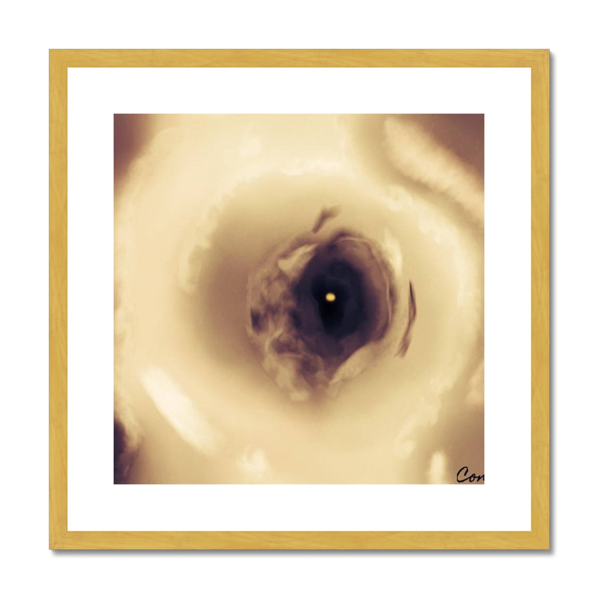 Eye Antique Framed & Mounted Print