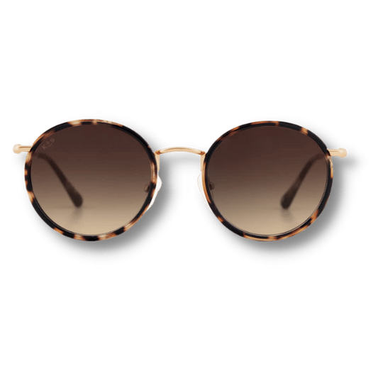 Amsterdam Umber Tortoise Brown