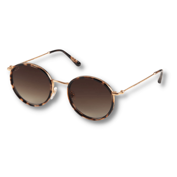 Amsterdam Umber Tortoise Brown